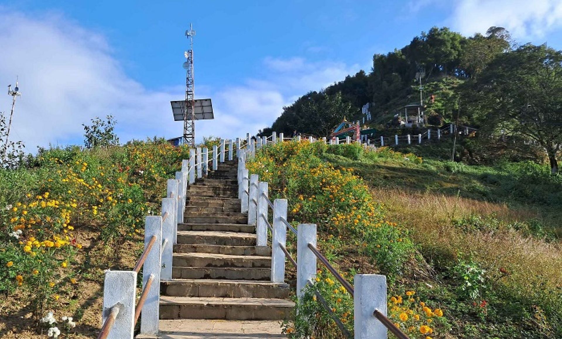 मझुवागढीलाई ‘फूलैफूलको पहाड’ बनाइने